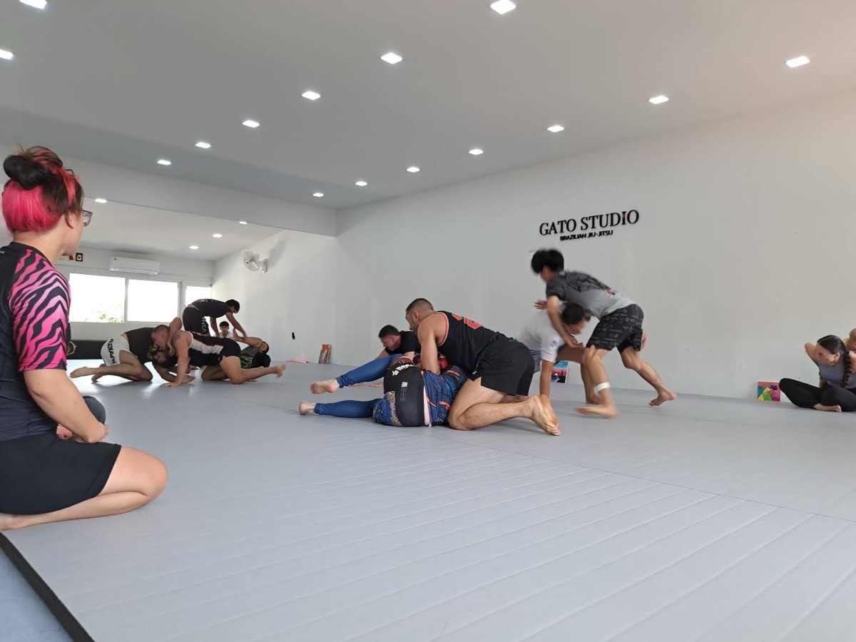 The mat space inside Gato Studio BJJ Brazilian Jiu-Jitsu academy in Chiang Mai